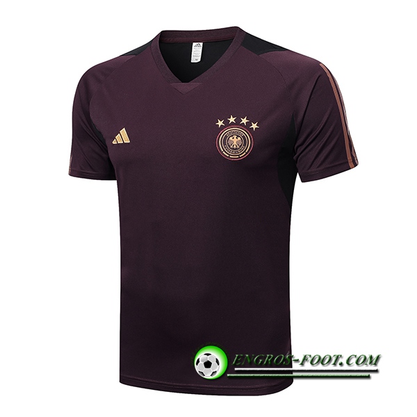 Training T-Shirts Allemagne Brune 2022/2023