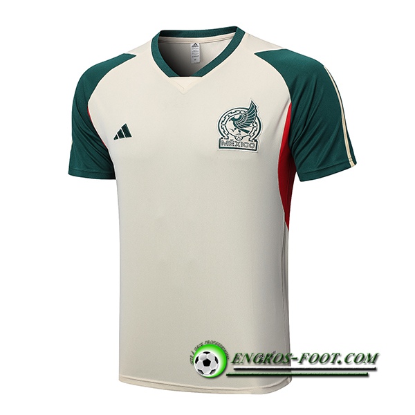 Training T-Shirts Mexique Beige 2022/2023
