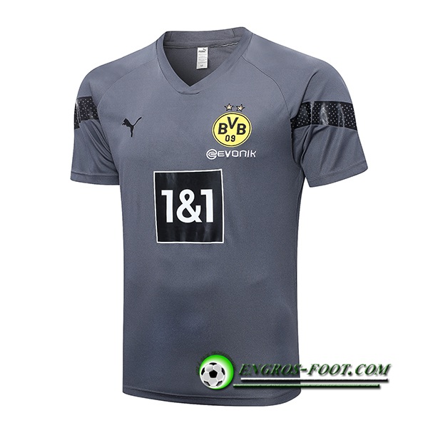 Training T-Shirts Dortmund Gris 2022/2023