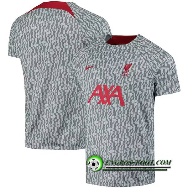 Training T-Shirts FC Liverpool Gris 2022/2023