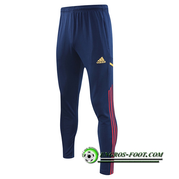 Pantalon Foot Ajax Bleu Marine 2022/2023