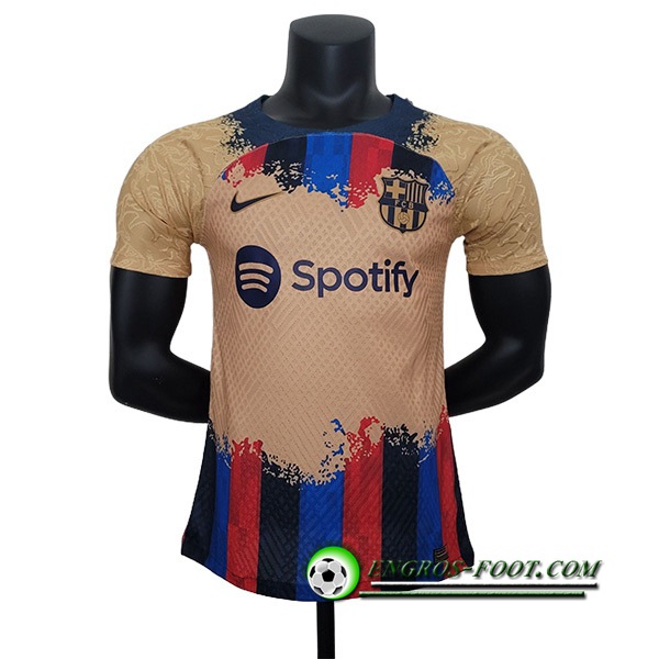 Maillot de Foot FC Barcelone Special Edition 2023/2024