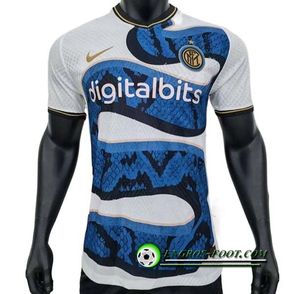 Maillot de Foot Inter Milan Exterieur Leaked Version 2023/2024