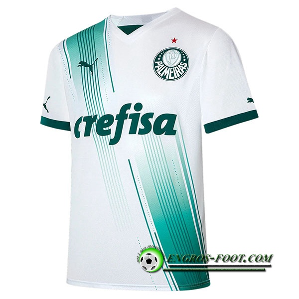 Maillot de Foot Palmeiras Exterieur 2023/2024