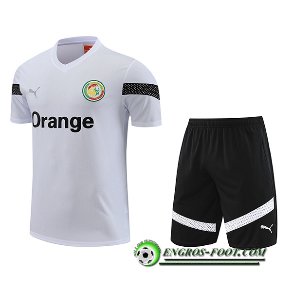 Ensemble Training T-Shirts + Shorts Sénégal Blanc 2023/2024