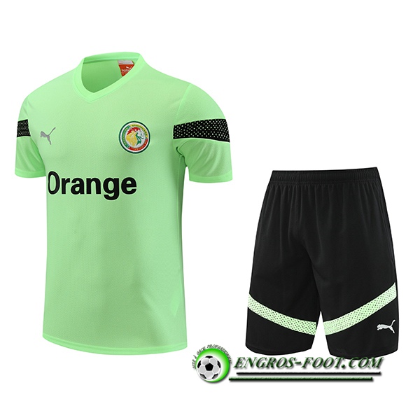 Ensemble Training T-Shirts + Shorts Sénégal Vert 2023/2024