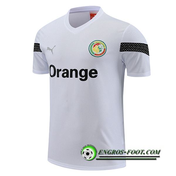 Training T-Shirts Sénégal Blanc 2023/2024