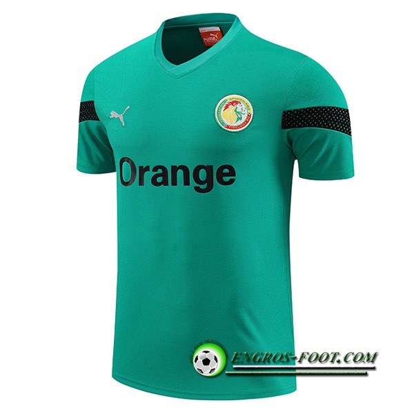 Training T-Shirts Sénégal Vert 2023/2024