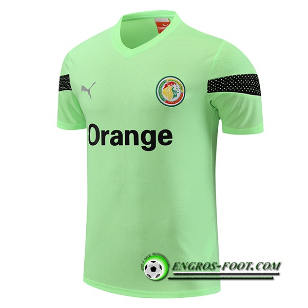 Training T-Shirts Sénégal Vert 2023/2024