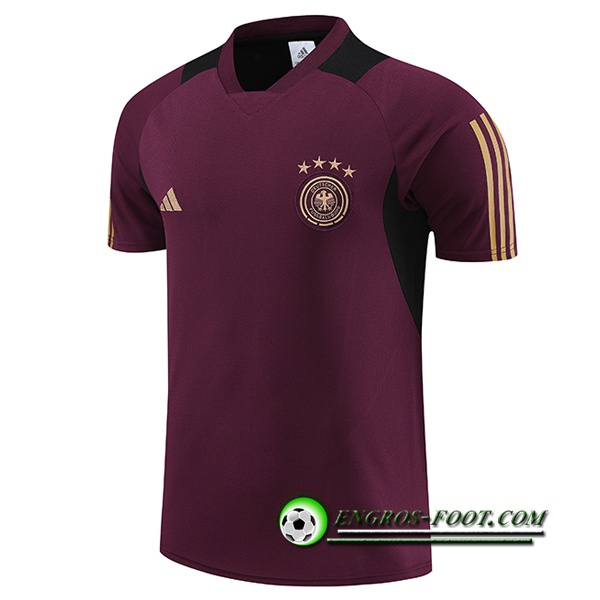 Training T-Shirts Allemagne Rouge Foncé 2023/2024