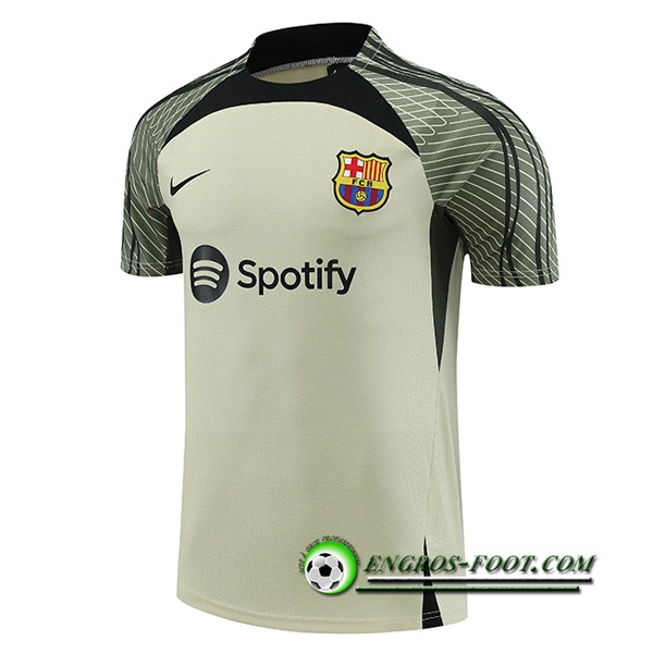 Training T-Shirts FC Barcelone Vert 2023/2024