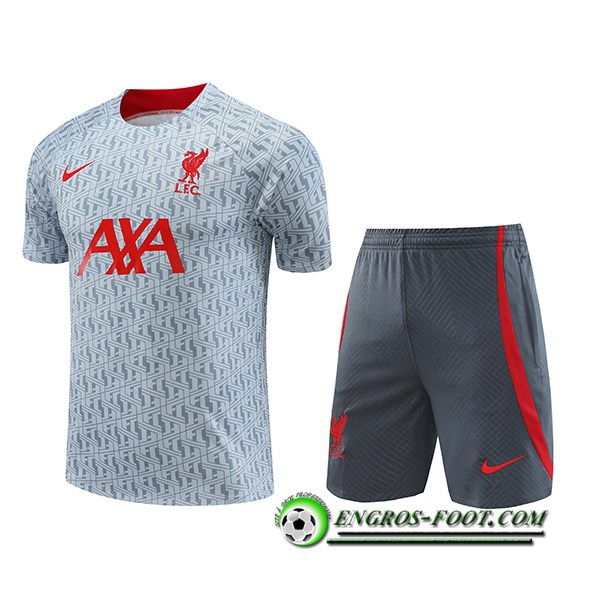 Ensemble Training T-Shirts + Shorts FC Liverpool Gris 2023/2024