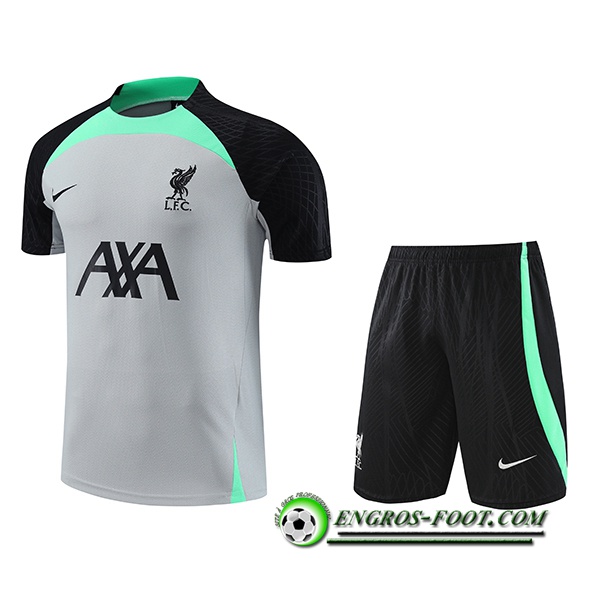 Ensemble Training T-Shirts + Shorts FC Liverpool Gris 2023/2024