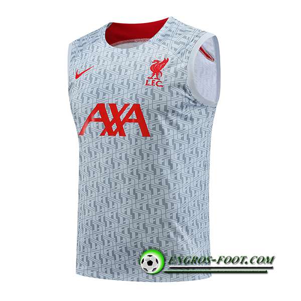 Training Debardeur FC Liverpool Gris 2023/2024