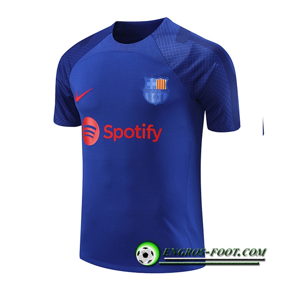 Training T-Shirts PSG Jordan Rouge 2023/2024