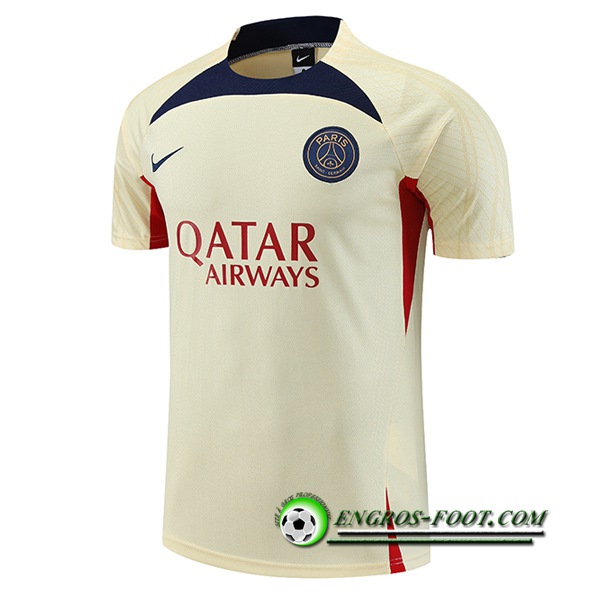 Training T-Shirts PSG Jaune 2023/2024