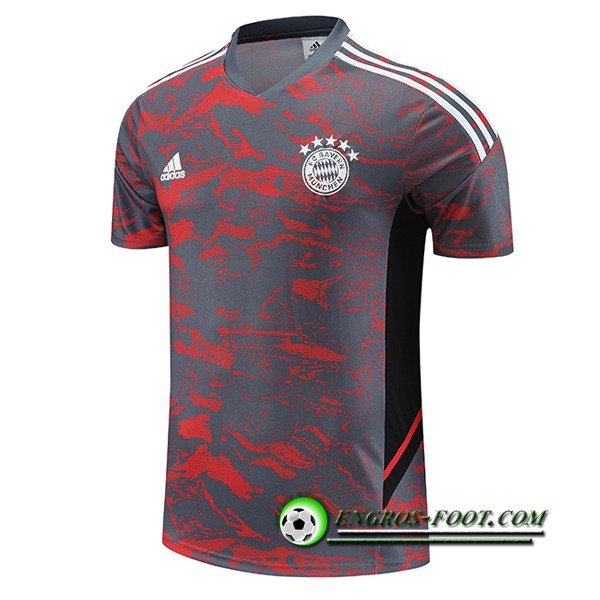 Training T-Shirts Bayern Munich Rouge/Gris 2023/2024