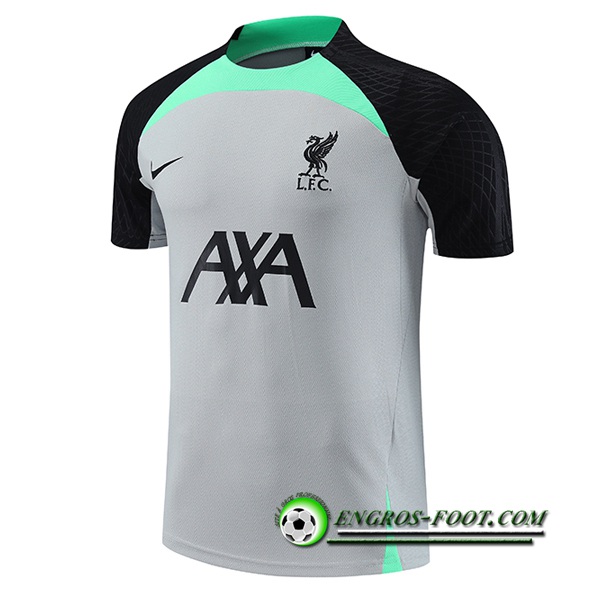 Training T-Shirts FC Liverpool Gris 2023/2024