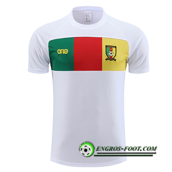 Training T-Shirts Cameroun Blanc 2023/2024
