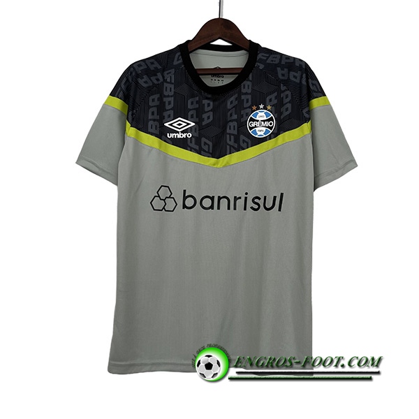 Training T-Shirts Guilde Gris 2023/2024