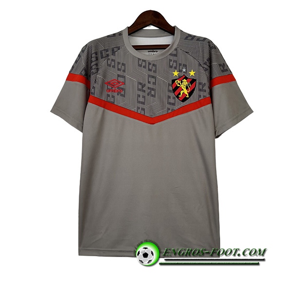 Training T-Shirts Recife Gris 2023/2024