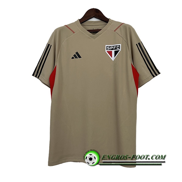 Training T-Shirts Sao Paulo FC Brune 2023/2024