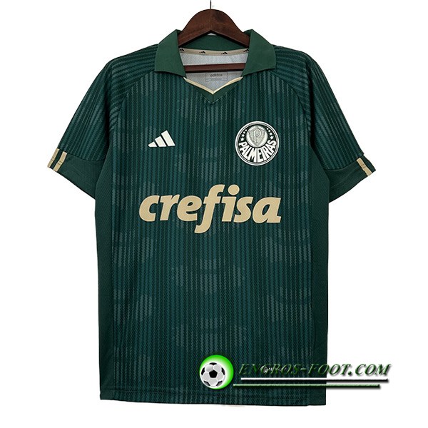 Maillot de Foot Palmeiras Special Edition Vert 2023/2024