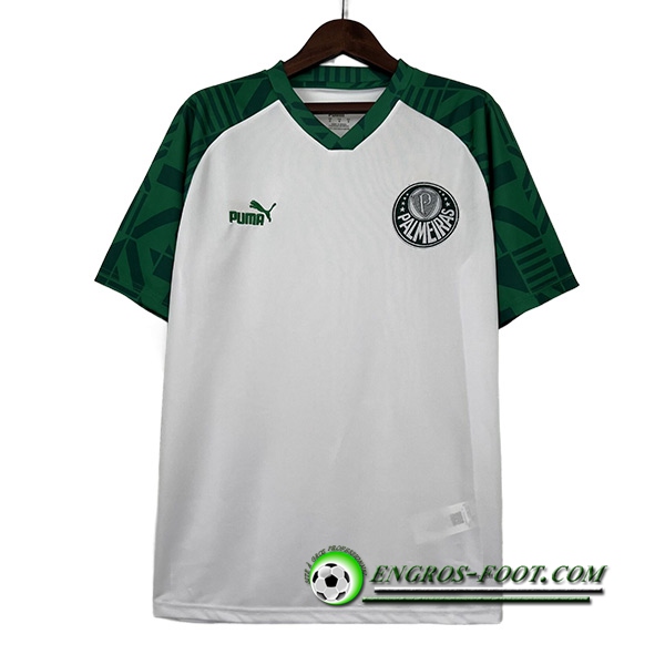 Maillot de Foot Palmeiras Special Edition Blanc 2023/2024