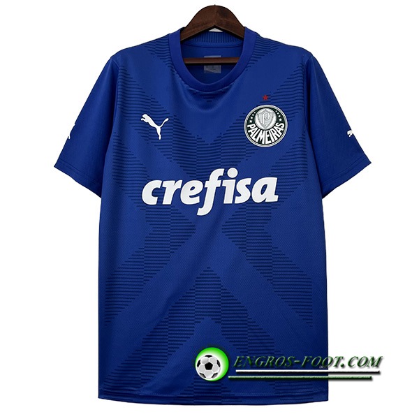 Maillot de Foot Palmeiras Gardien de But Bleu 2023/2024