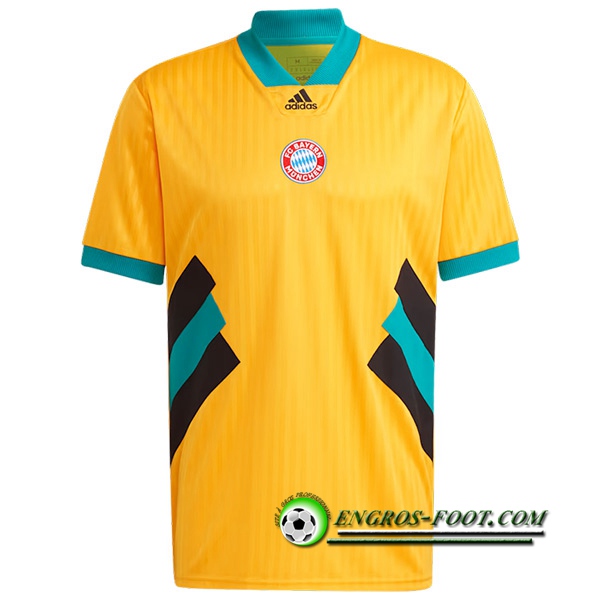 Maillot de Foot Bayern Munich Icon 2023/2024