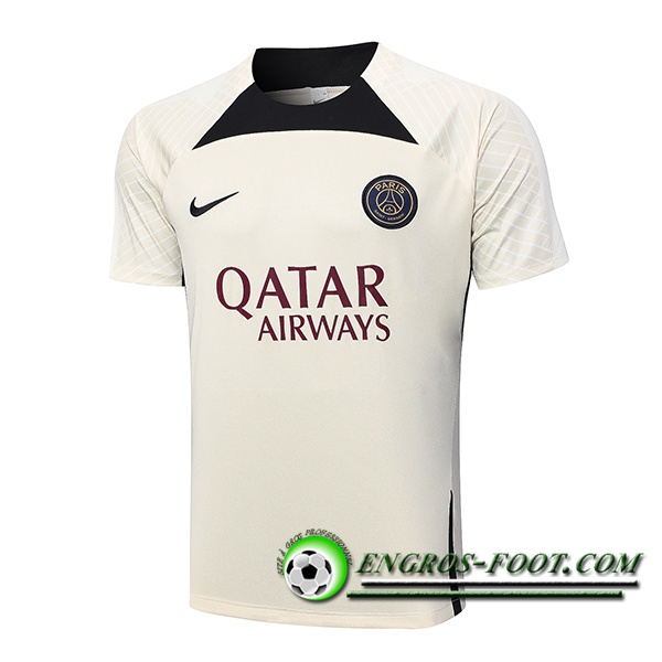 Training T-Shirts PSG Jaune 2023/2024