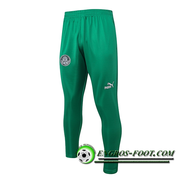 Pantalon Foot Palmeiras Vert 2023/2024