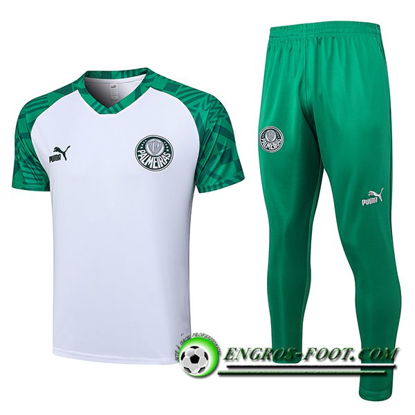 Ensemble Training T-Shirts + Pantalon Palmeiras Blanc 2023/2024