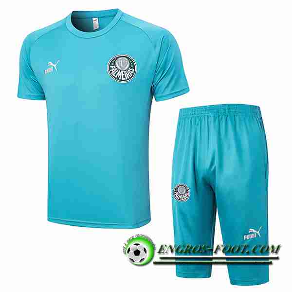 Ensemble Training T-Shirts + Shorts Palmeiras Vert 2023/2024