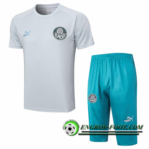 Ensemble Training T-Shirts + Shorts Palmeiras Gris Clair 2023/2024