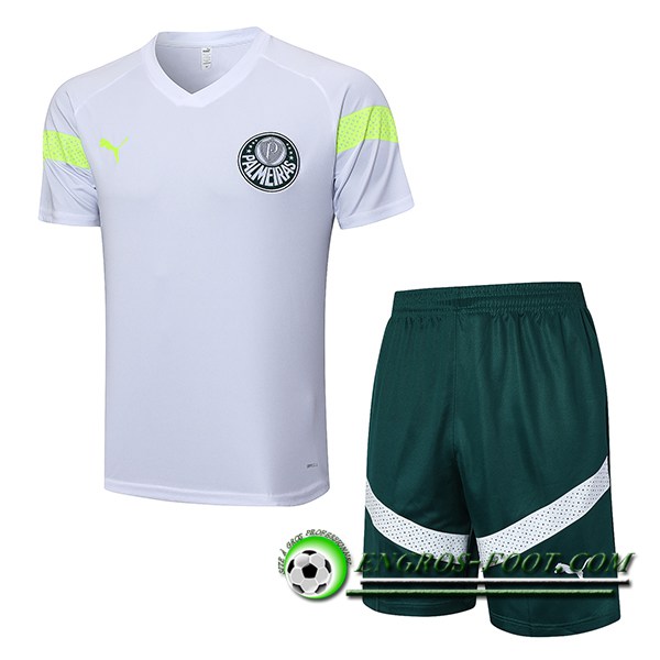 Ensemble Training T-Shirts + Shorts Palmeiras Blanc 2023/2024