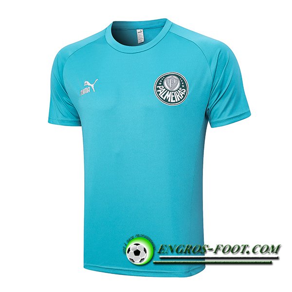 Training T-Shirts Palmeiras Vert 2023/2024