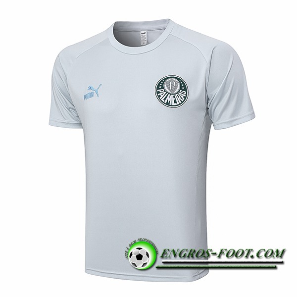 Training T-Shirts Palmeiras Gris Clair 2023/2024