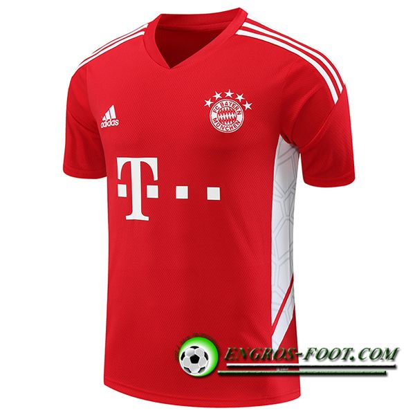 Training T-Shirts Bayern Munich Rouge 2023/2024