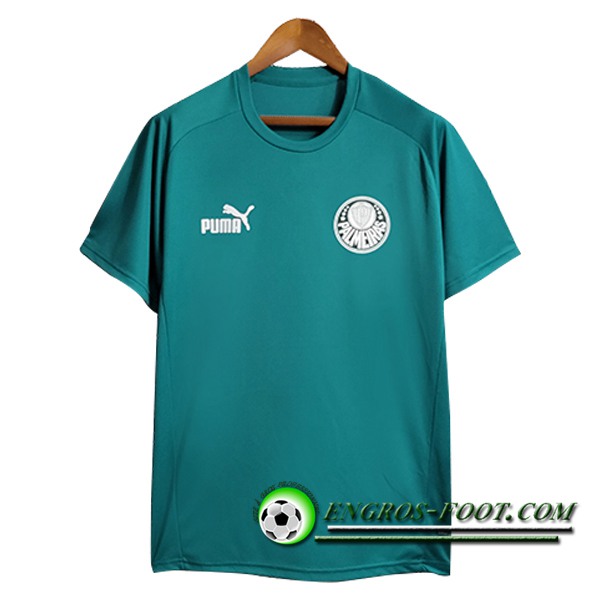 Training T-Shirts Palmeiras Vert 2023/2024 -02