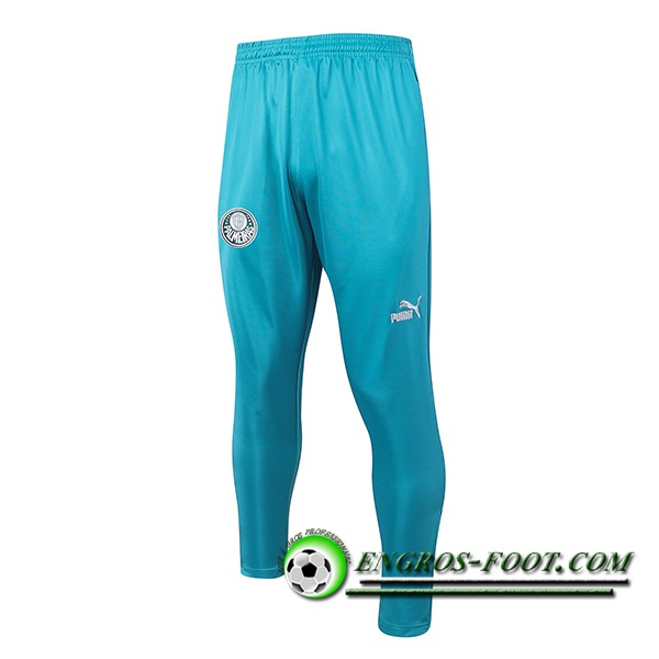 Pantalon Foot Palmeiras Vert 2023/2024 -03