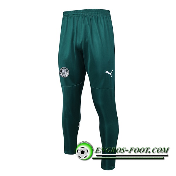 Pantalon Foot Palmeiras Vert 2023/2024 -02