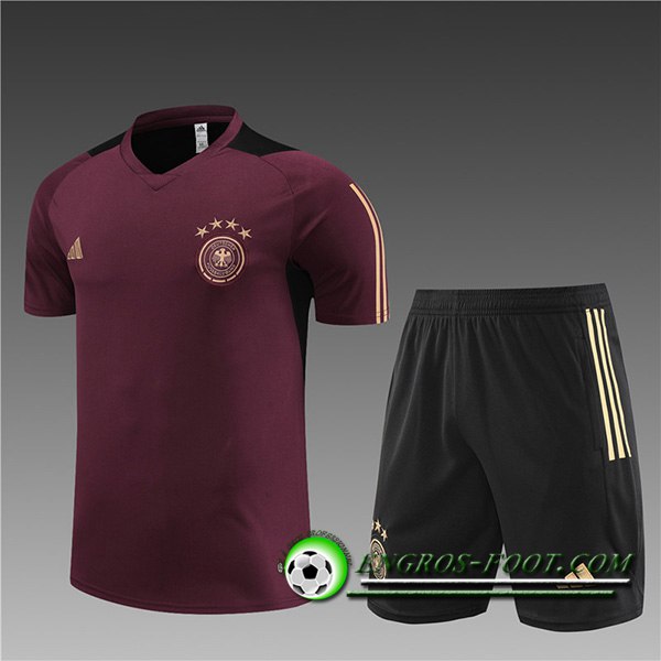 Ensemble Training T-Shirts + Shorts Allemagne Enfant Brune 2023/2024