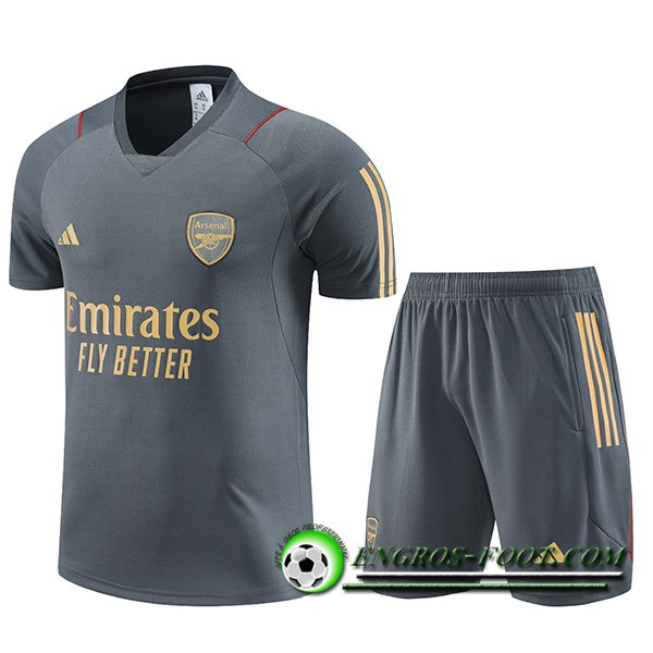 Ensemble Training T-Shirts + Shorts Arsenal Gris 2023/2024