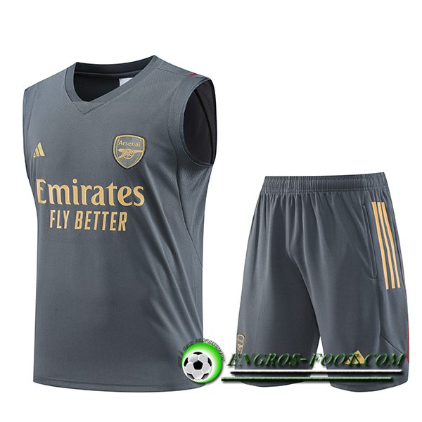 Ensemble Training Debardeur + Shorts Arsenal Gris 2023/2024