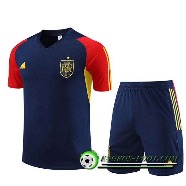 Ensemble Training T-Shirts + Shorts Espagne Bleu Marine 2023/2024