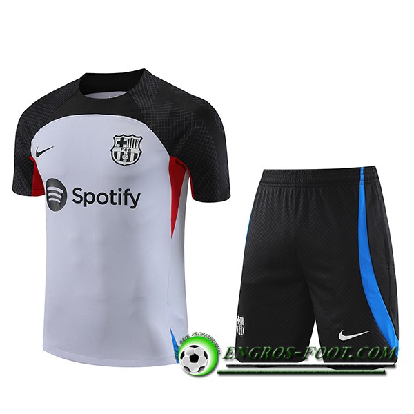 Ensemble Training T-Shirts + Shorts FC Barcelone Gris 2023/2024