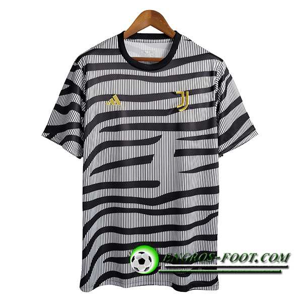 Training T-Shirts Juventus Noir/Gris 2023/2024