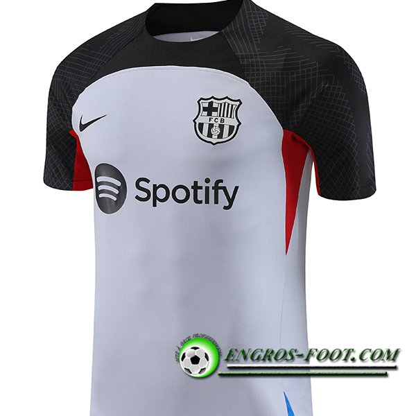 Training T-Shirts FC Barcelone Gris 2023/2024