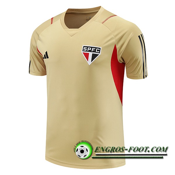 Training T-Shirts Sao Paulo FC Brune 2023/2024 -02